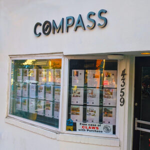 Compass 300x300